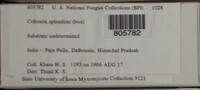 Image Associated With the Occurence